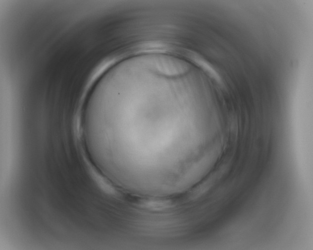 X0000114431466200910231224