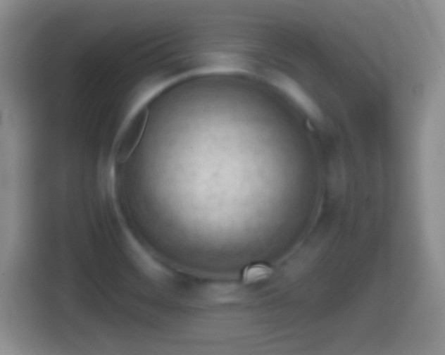 X0000114431468200910231224