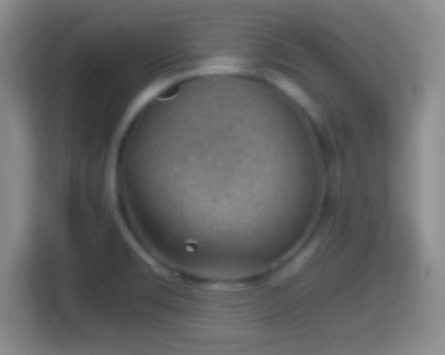 X0000114431469200910231224