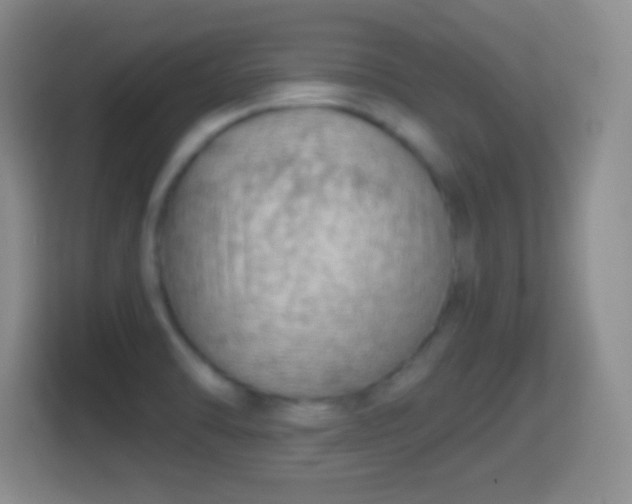 X0000114431470200910231224