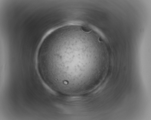 X0000114431471200910231224