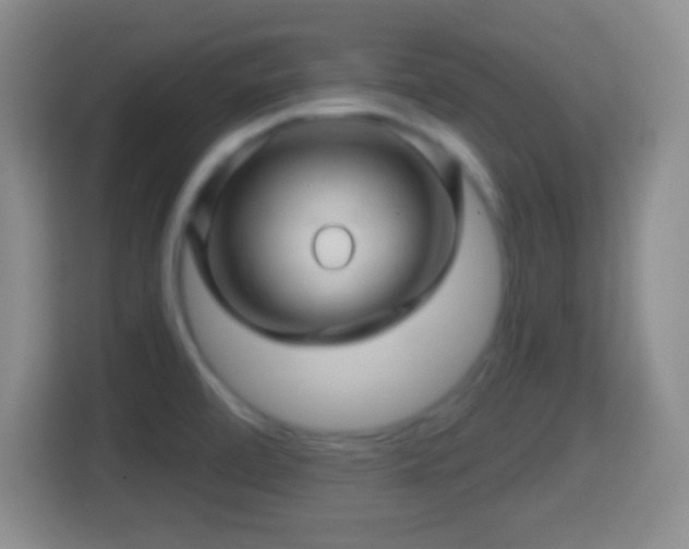 X0000114431472200910231224