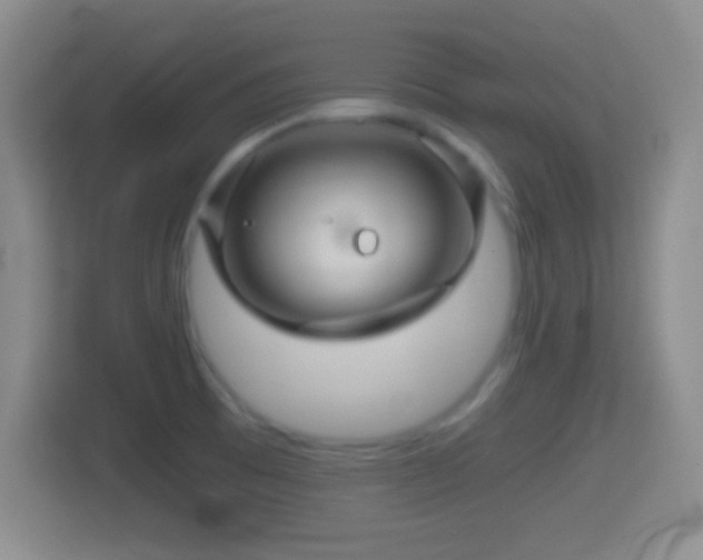 X0000114431473200910231224