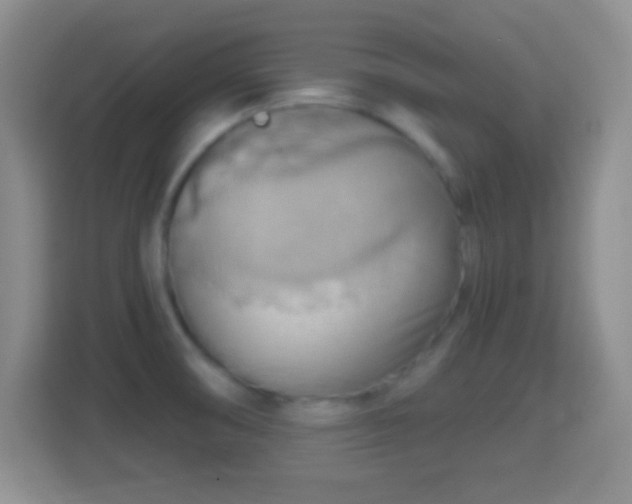 X0000114431474200910231224