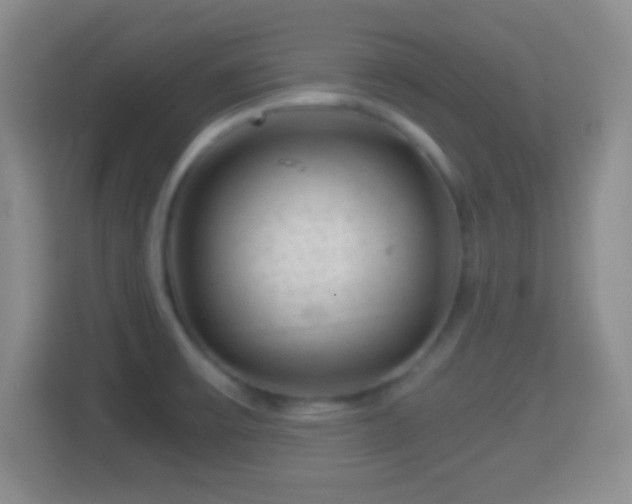 X0000114431475200910231224