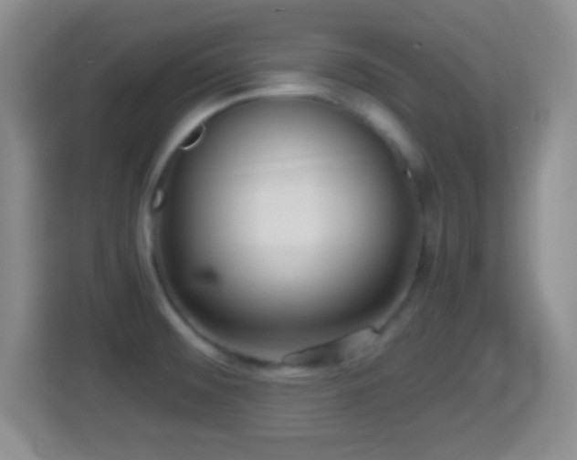 X0000114431476200910231224