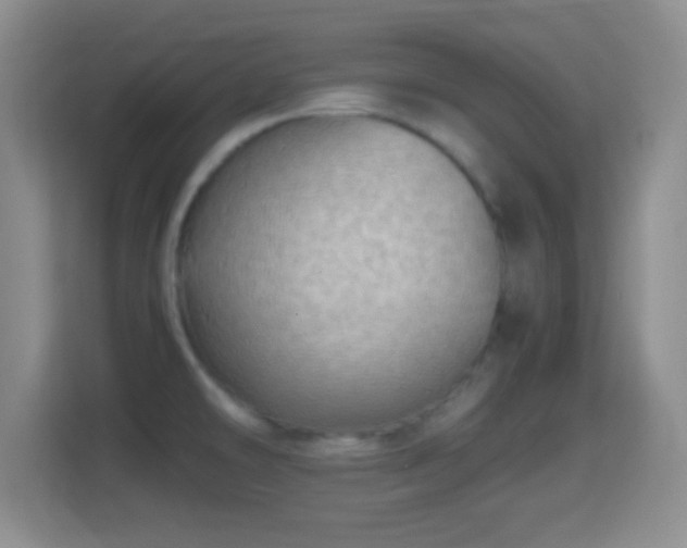 X0000114431478200910231224