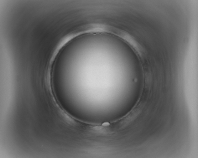 X0000114431480200910231224