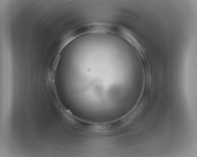 X0000114431481200910231224