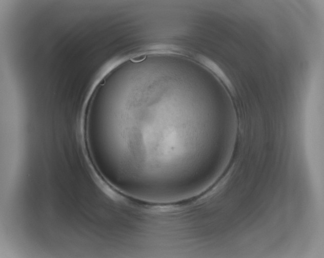 X0000114431482200910231224