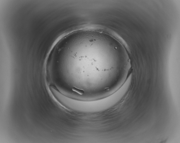 X0000114431483200910231224