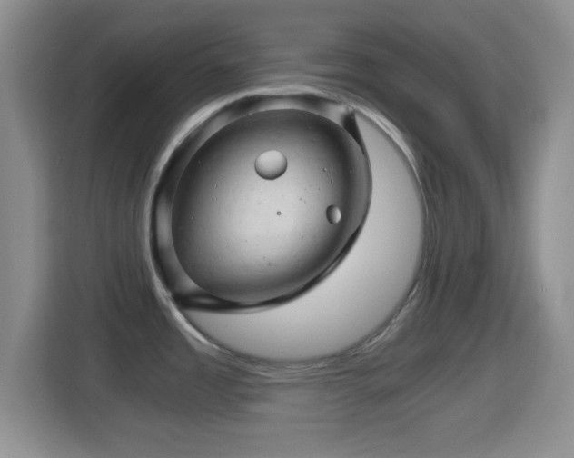X0000114431485200910231224