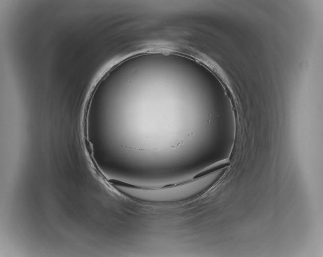 X0000114431488200910231224