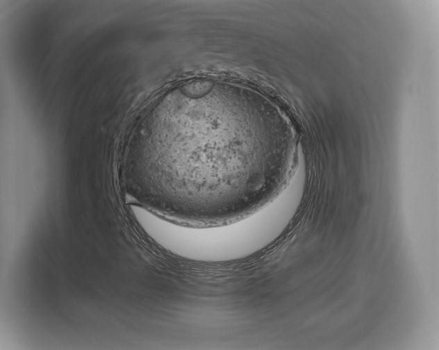 X0000114431489200910231223