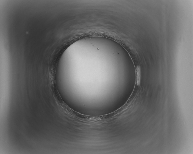X0000114431491200910231223