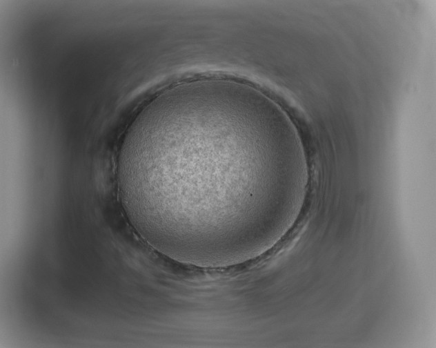 X0000114431494200910231223