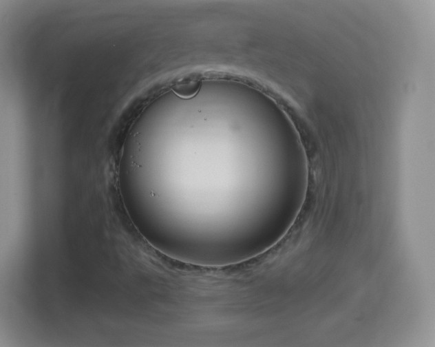 X0000114431495200910231223