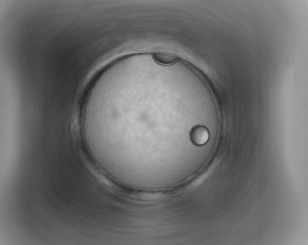 X0000114431498200910231223