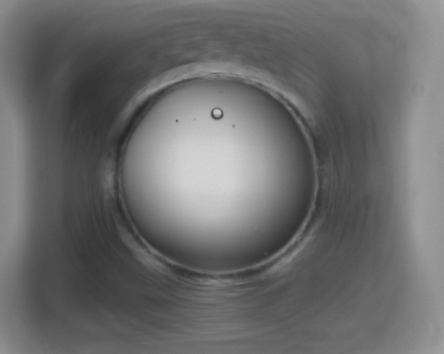 X0000114431499200910231223