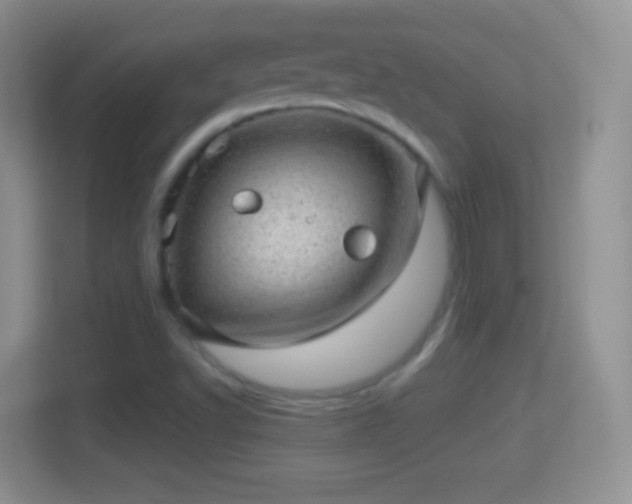 X0000114431502200910231223