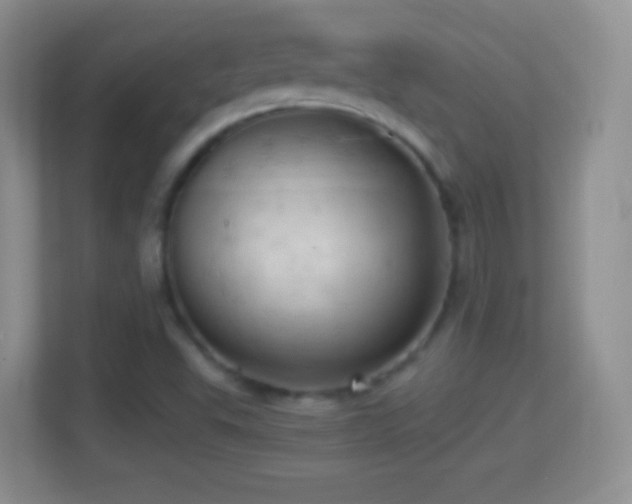 X0000114431503200910231223