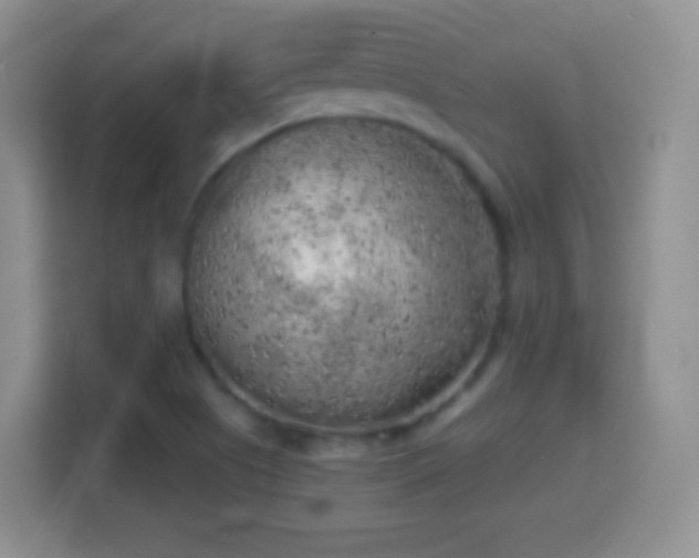 X0000114431505200910231223