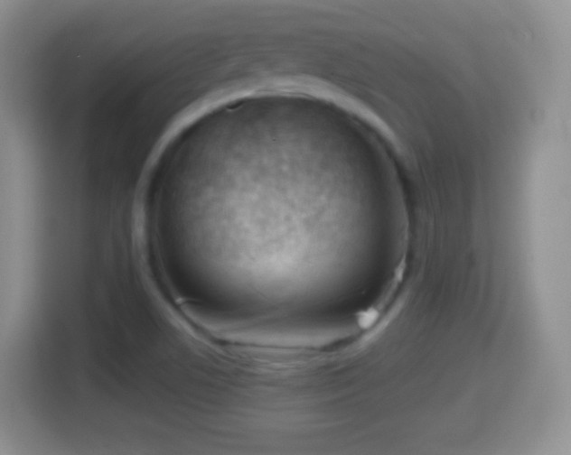 X0000114431506200910231223