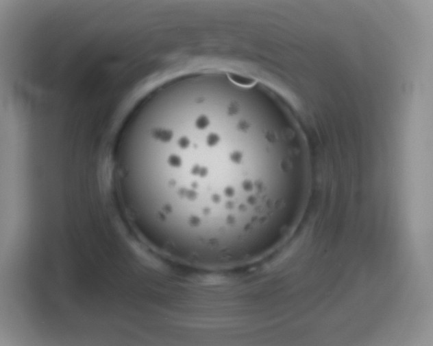 X0000114431507200910231223
