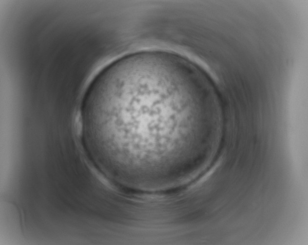 X0000114431509200910231223
