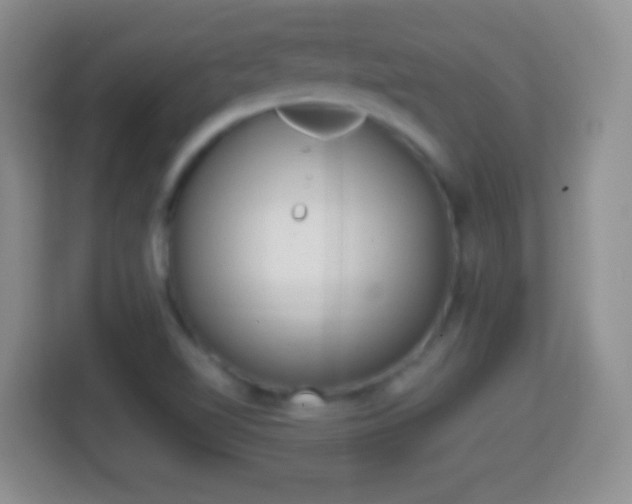 X0000114431510200910231223