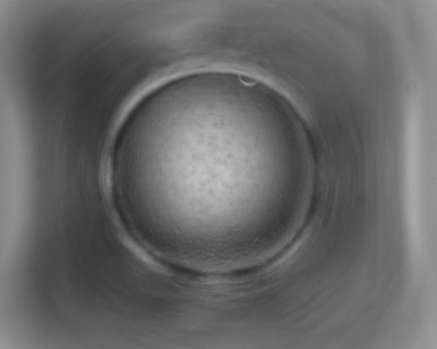 X0000114431511200910231223