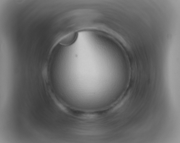 X0000114431513200910231223