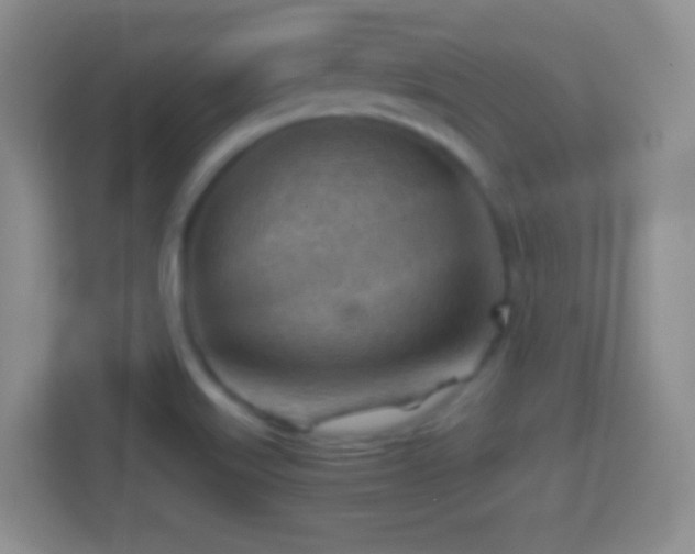 X0000114431515200910231223