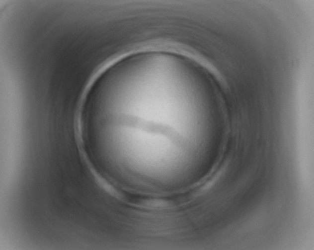 X0000114431517200910231223