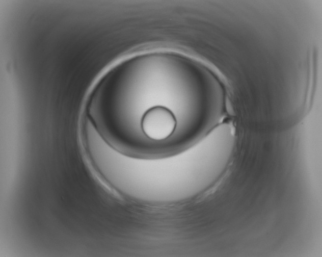 X0000114431518200910231223
