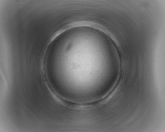X0000114431521200910231223