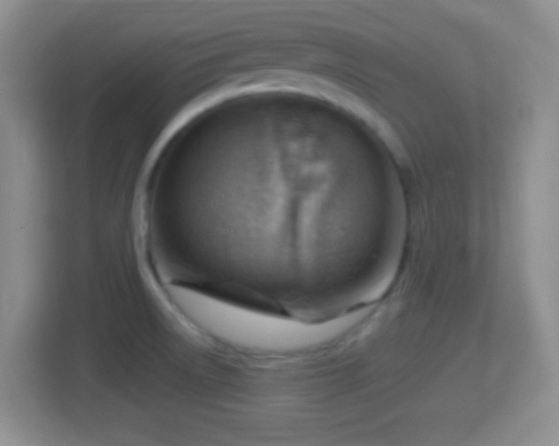 X0000114431522200910231223