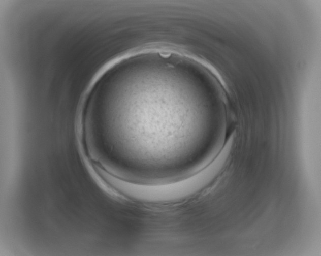 X0000114431523200910231223