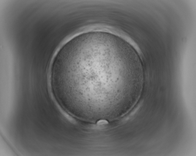 X0000114431525200910231223