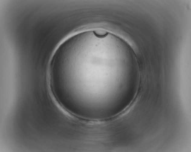 X0000114431526200910231223