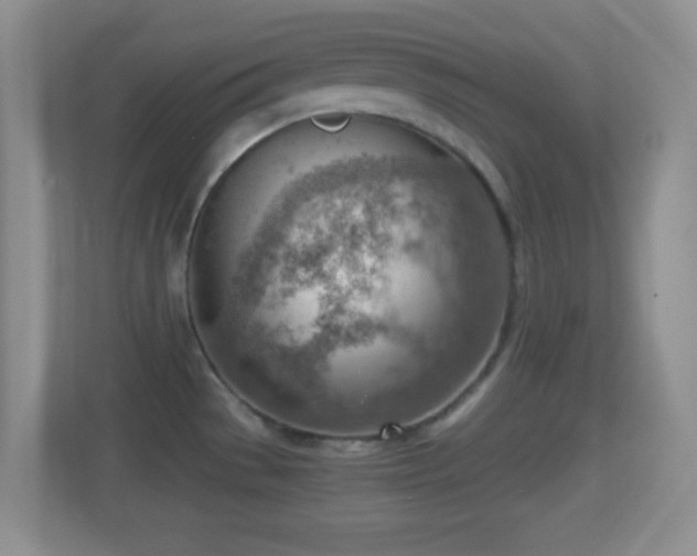 X0000114431529200910231223