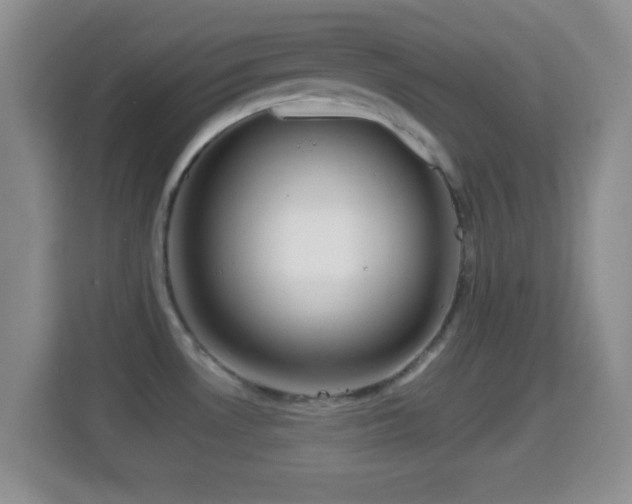 X0000114431530200910231223