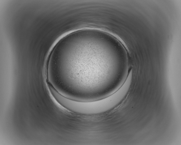 X0000114431531200910231223