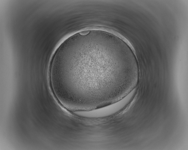 X0000114431533200910231224
