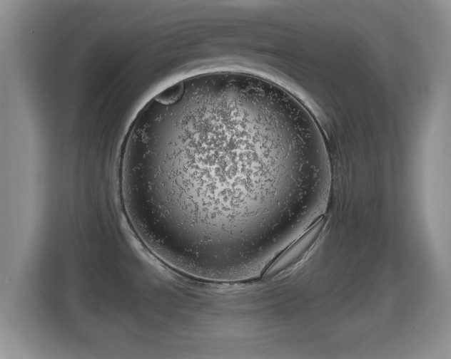 X0000114431534200910231224
