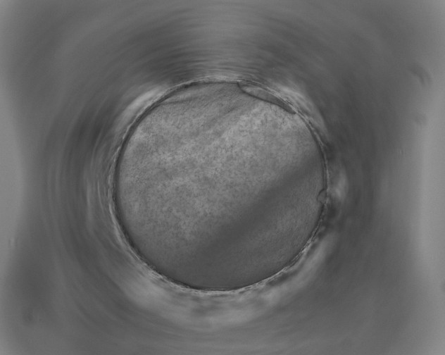 X0000114430001200911061652