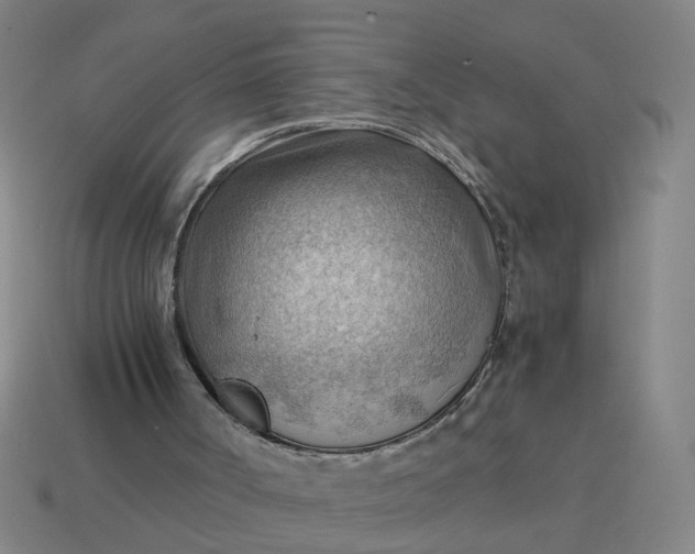 X0000114430002200911061652