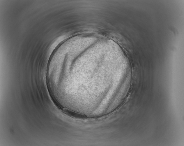 X0000114430003200911061652