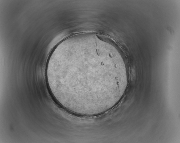 X0000114430004200911061652