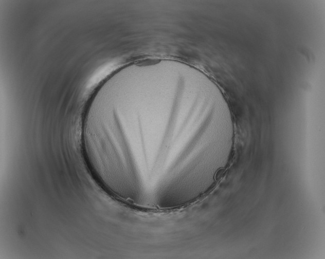 X0000114430005200911061652